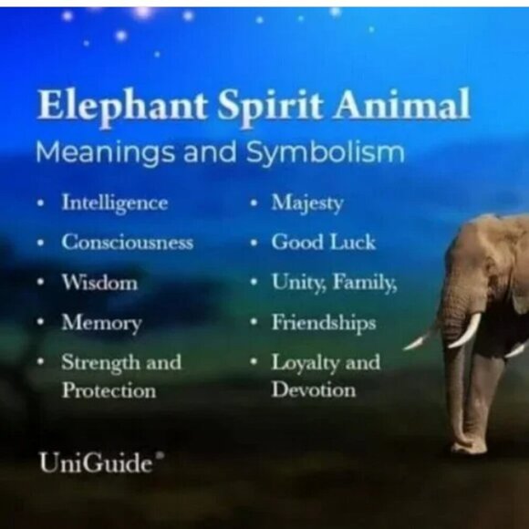 Elephant Lovers Bracelet ~ Aqua White + Salmon Stretch Bracelet ~ 7-7.5" Wrist - Picture 5 of 8